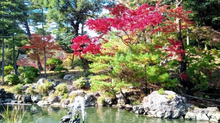 公園の紅葉